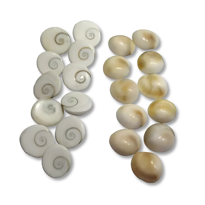 Canlı Yılancık Taşı 7 Adet (Dişi ve Erkek Karışık)